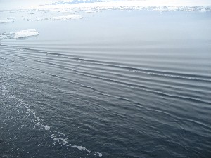 The Polar Sea