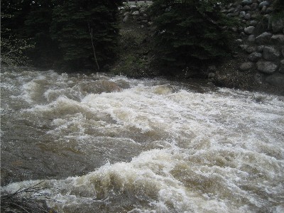 roaring Gore Creek