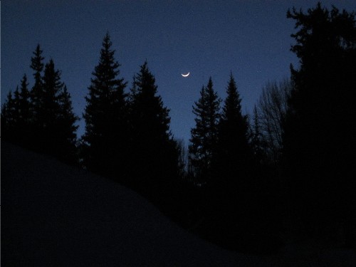 crescent-moon.jpg
